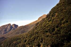FIORDLAND-NATIONAL-PARK-2019 (246)